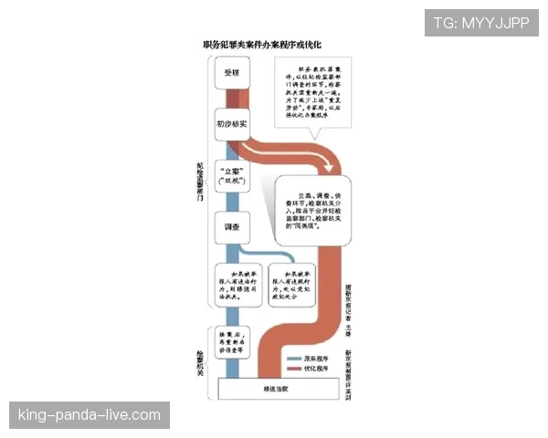 博尼法斯在勒沃库森体系中的战术定位与作用机制解析