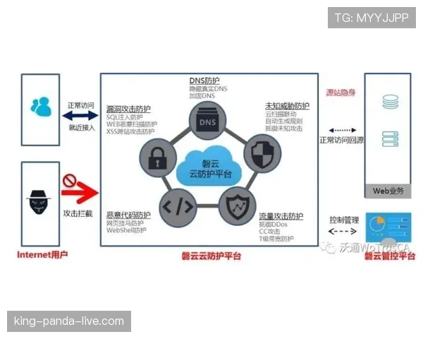 武磊进攻创造力提升的驱动因素与本赛季表现稳定性分析